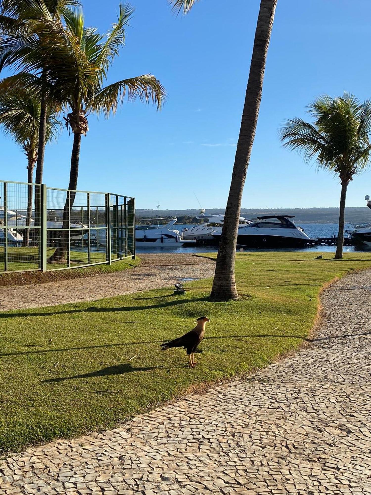Flat Beira Lago No Centro De Bsb Brasília Exteriör bild
